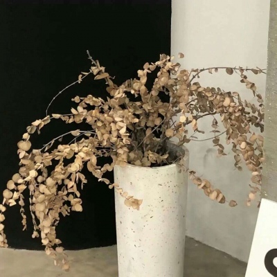 原创Furry角色设计思路兽圈群